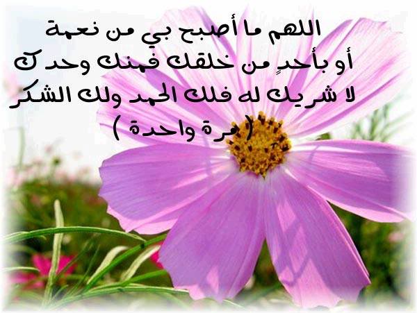 دعاء قبل المذاكرة Image007